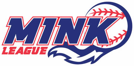 MINK League All-Star Game